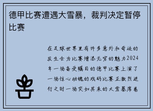 德甲比赛遭遇大雪暴，裁判决定暂停比赛