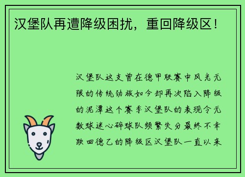 汉堡队再遭降级困扰，重回降级区！